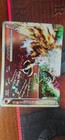 Ho-Oh Legend