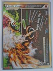 Ho-Oh Legend