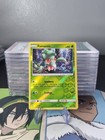 Fomantis