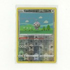 Castform Snowy Form