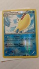 Pelipper