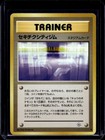 Fuchsia City Gym