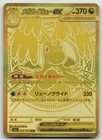 Mega Dragonite ex