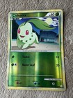 Chikorita