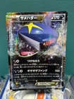 Sharpedo EX