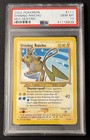 Shining Raichu