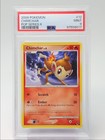 Chimchar