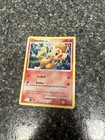 Chimchar