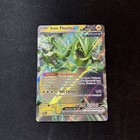 Iron Thorns ex