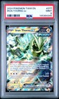 Iron Thorns ex