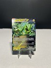 Iron Thorns ex
