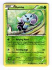 Illumise