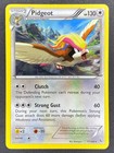 Pidgeot