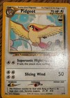Pidgeot