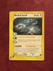 Buried Fossil