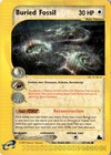 Buried Fossil