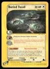 Buried Fossil