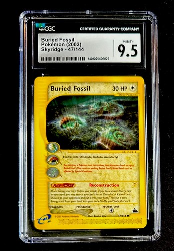 Buried Fossil