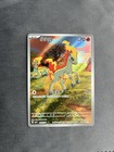 Ponyta