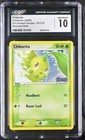 Chikorita