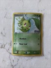 Chikorita
