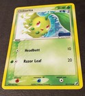 Chikorita