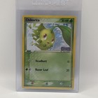 Chikorita