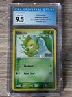 Chikorita