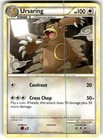 Ursaring