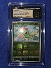 Caterpie