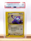 Rattata
