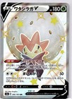 Eldegoss V