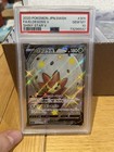 Eldegoss V