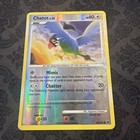 Chatot