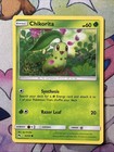 Chikorita