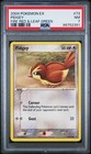 Pidgey