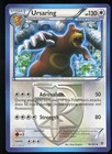 Ursaring