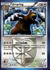 Ursaring