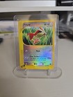 Pidgey
