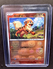 Growlithe