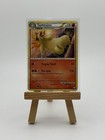 Typhlosion
