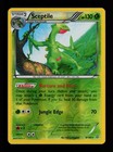 Sceptile