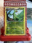 Sceptile