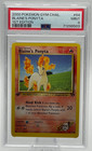 Blaine's Ponyta
