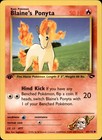 Blaine's Ponyta