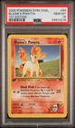 Blaine's Ponyta