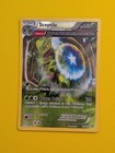 Sceptile