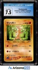 Sudowoodo