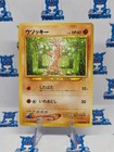Sudowoodo