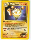 Brock's Primeape